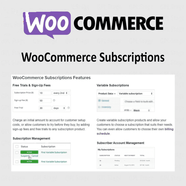WooCommerce Subscriptions - Let customers subscribe to your products